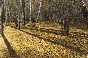 Similar image 21070248