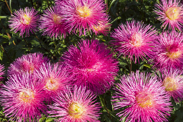 Similar image 21068312