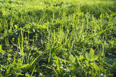 Similar image 21074063