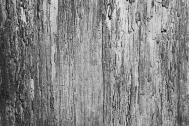 Similar image 21074067