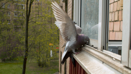 Similar image 21069599