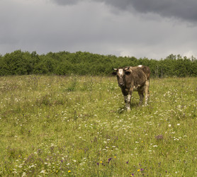 Similar image 21074191