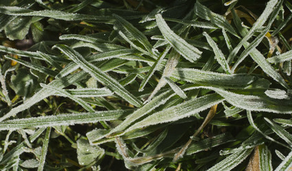 Similar image 21074194