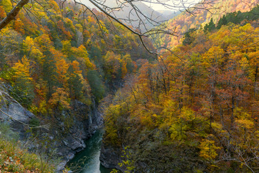 Similar image 21070061