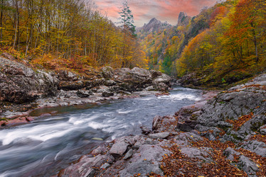 Similar image 21070062