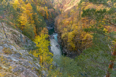 Similar image 21070064