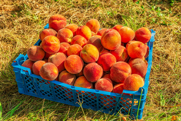 Similar image 21070079