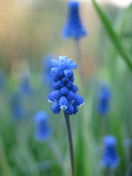 Similar image 21070711