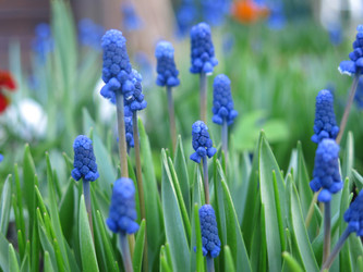 Similar image 21070712