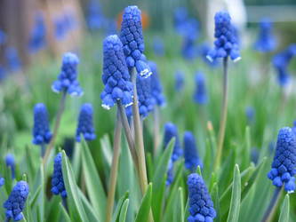 Similar image 21070713