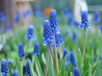 Similar image 21070714