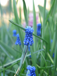 Similar image 21070716