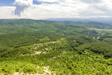 Similar image 21076053