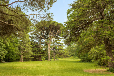 Similar image 21076054