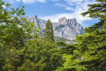 Similar image 21076061