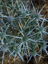 Similar image 21073074