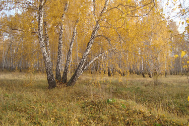 Similar image 21074197