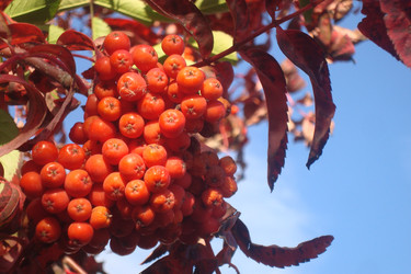 Similar image 21074199