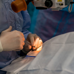 Similar image 21072685