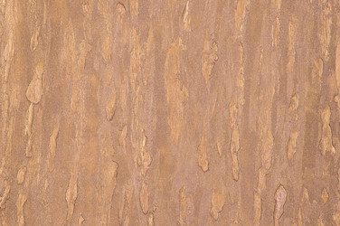 Similar image 21073056