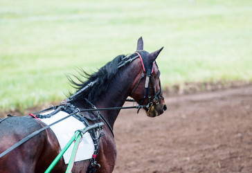 Similar image 21078274