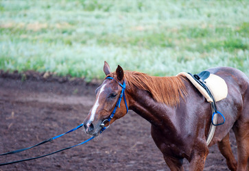 Similar image 21078277