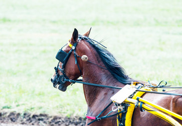 Similar image 21078278