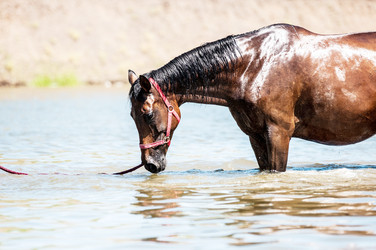 Similar image 21078279