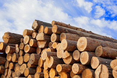 Similar image 21078280