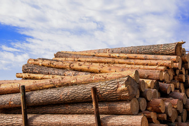 Similar image 21078281