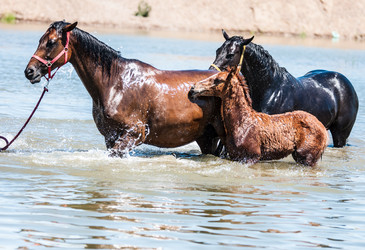 Similar image 21078282