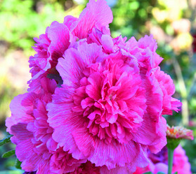 Similar image 21078286