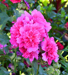 Similar image 21078287