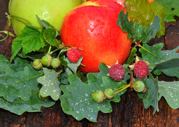 Similar image 21078296