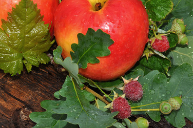 Similar image 21078297