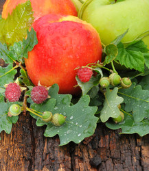 Similar image 21078298