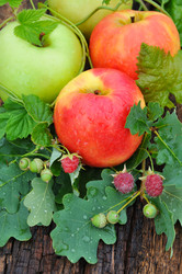 Similar image 21078299