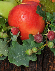 Similar image 21078300