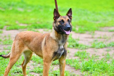 Similar image 21078302