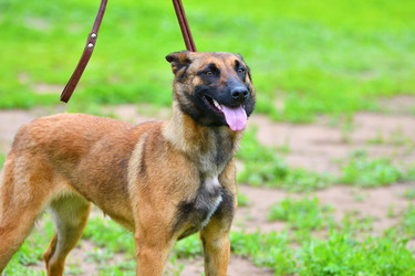 Similar image 21078303