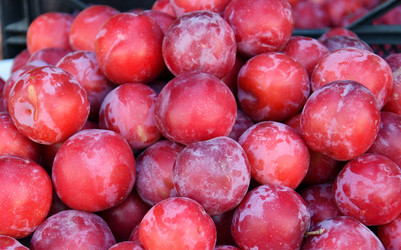 Similar image 21078304