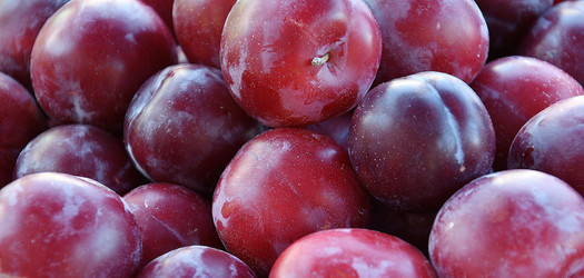 Similar image 21078305