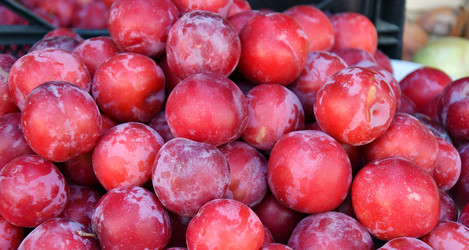 Similar image 21078306