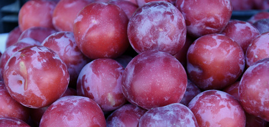 Similar image 21078307