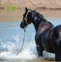 Similar image 21078309