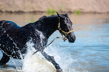 Similar image 21078310