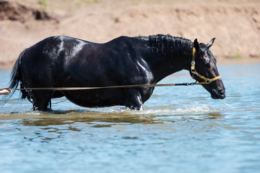 Similar image 21078311