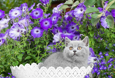 Similar image 21071328