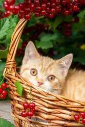 Similar image 21071330