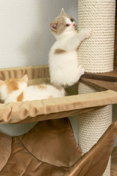 Similar image 21071333